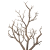 Branche artificielle – Image 2