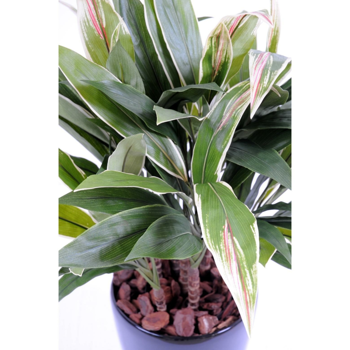 Dracaena cordyline artificiel 85 cm – Image 2
