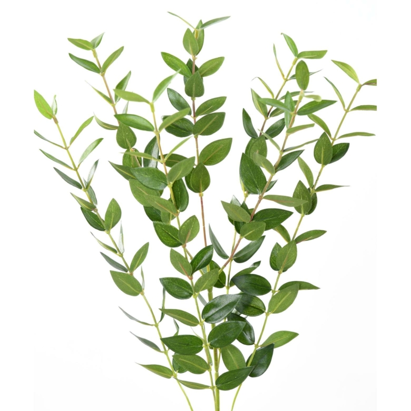 Eucalyptus artificiel 60 cm