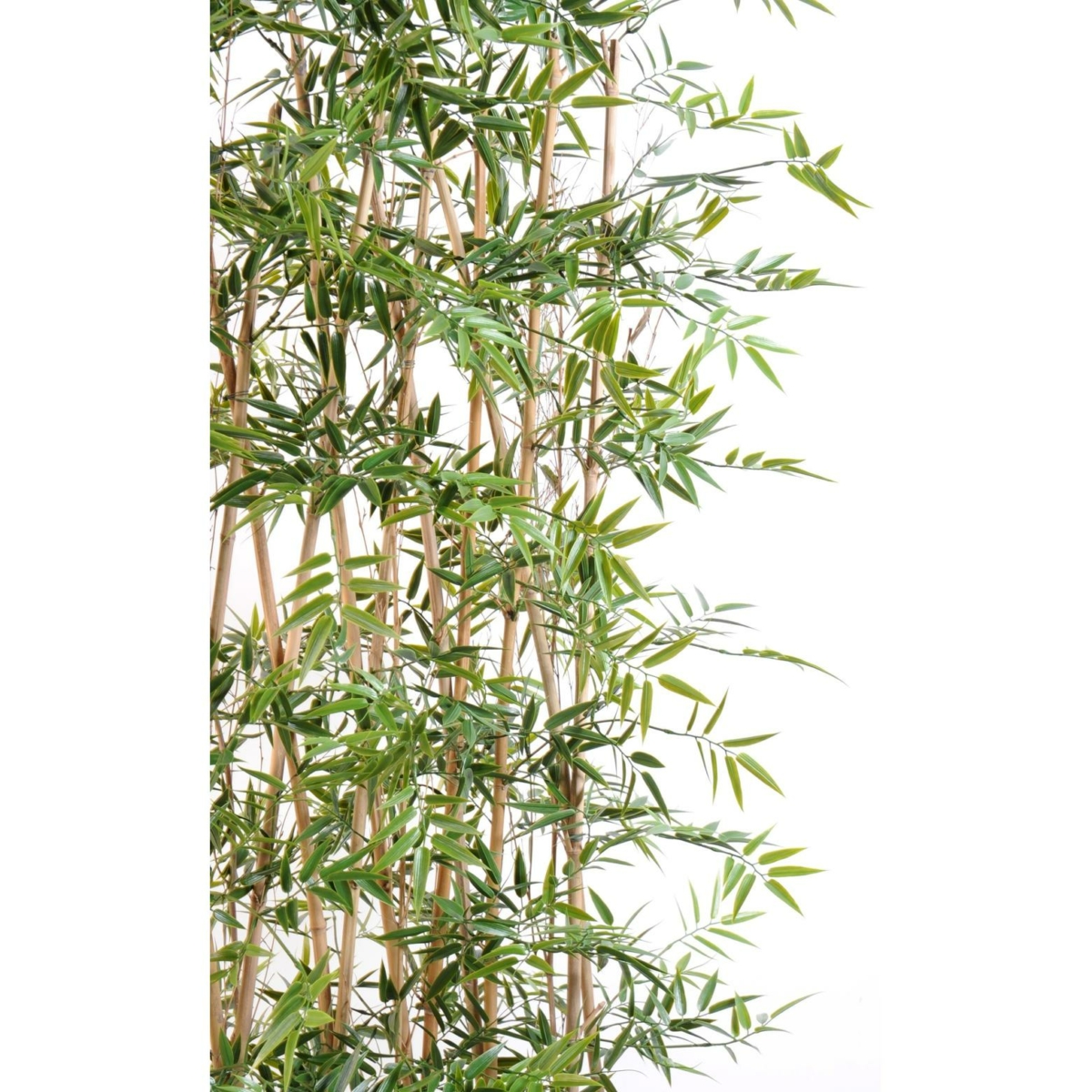 Bambou japonais haie artificiel 190 cm - résistant aux UV – Image 3