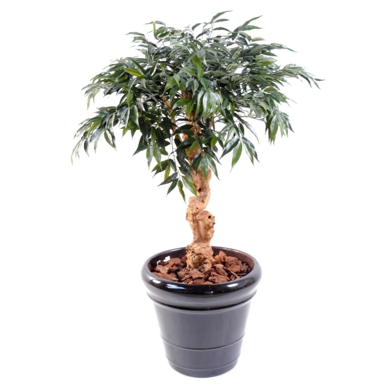 Shirakashi artificiel 95 cm