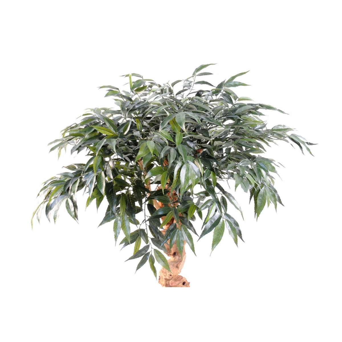 Shirakashi artificiel 95 cm – Image 3