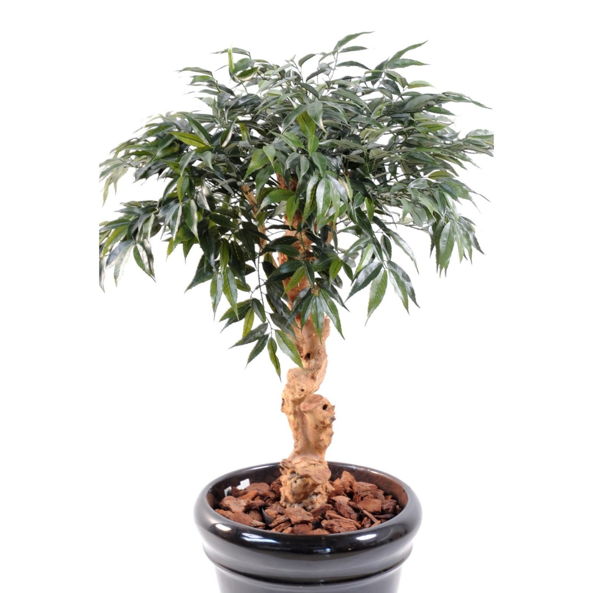 Shirakashi artificiel 95 cm – Image 4
