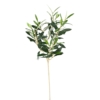 Olivier spray sans fruits artificiel – Image 2