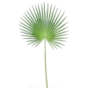 Palme palmier camerus artificiel