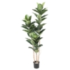 Ficus elastica artificiel 170 cm