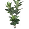 Ficus elastica artificiel 170 cm – Image 3