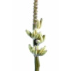 Banane fleur artificiel 110 cm – Image 3