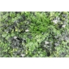 Mur vegetal plaque artificiel 5 cm - résistant aux UV – Image 3