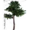 Pin luxe artificiel 400 cm – Image 3