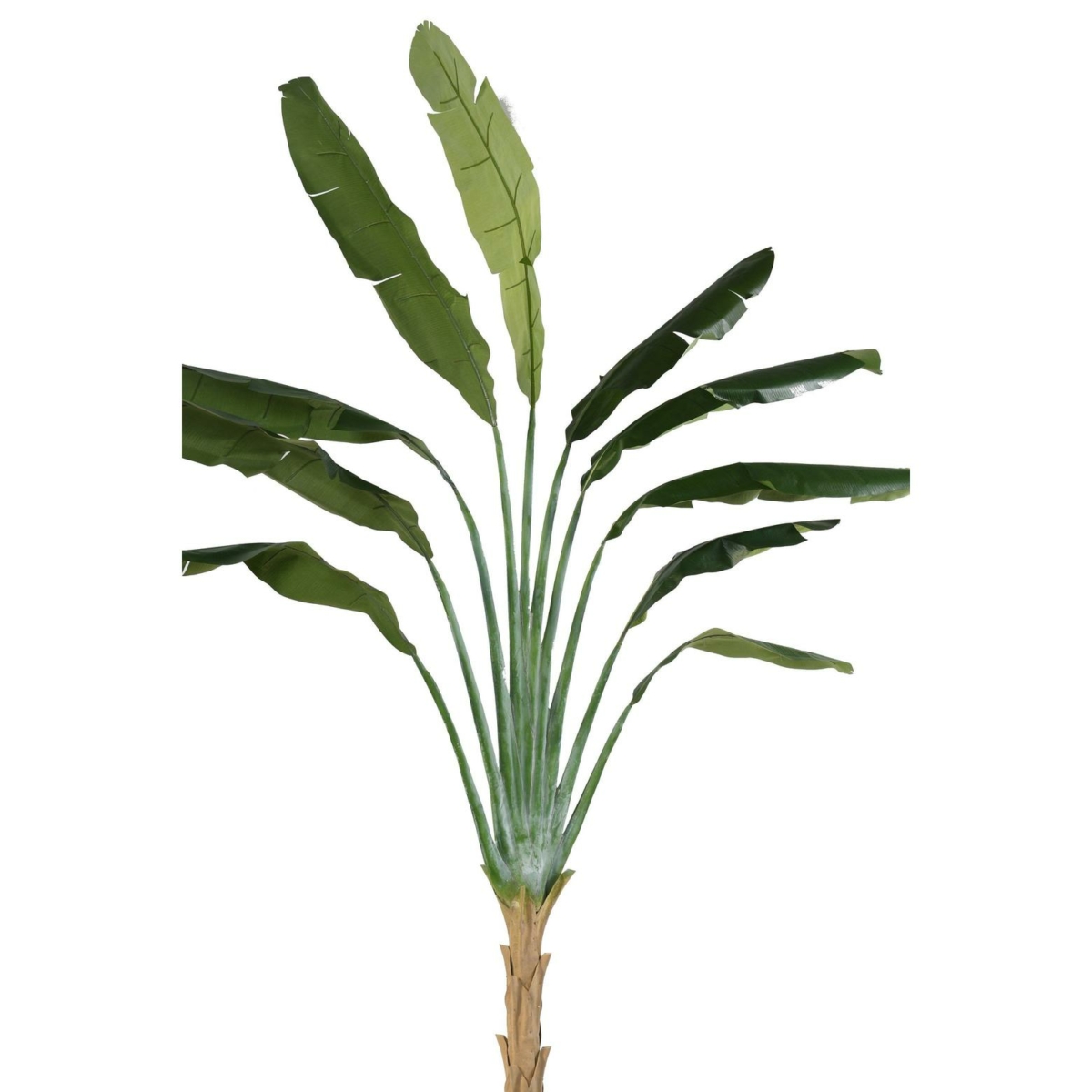 Arbre du voyageur artificiel 350 cm – Image 2