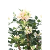 Bougainvillee lianes artificiel blanc et rose – Image 4
