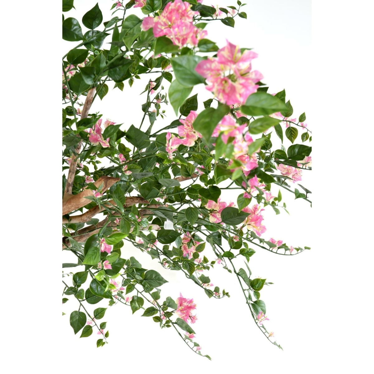 bougainvillier artificiel rose 280 cm – Image 5
