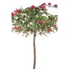 bougainvillier artificiel fuchsia 280 cm – Image 3