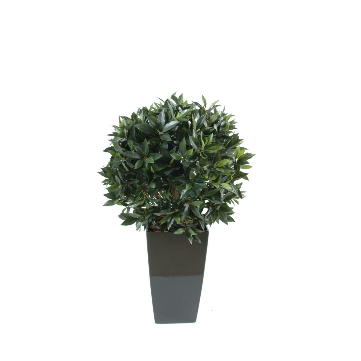 Laurier artificiel boule en pot noir 120 cm