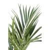 Kentia palm artificiel – Image 2