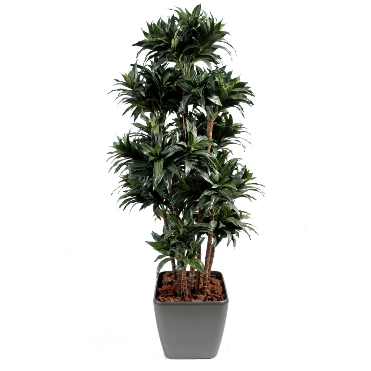 Dracaena artificiel en pot noir 160 cm