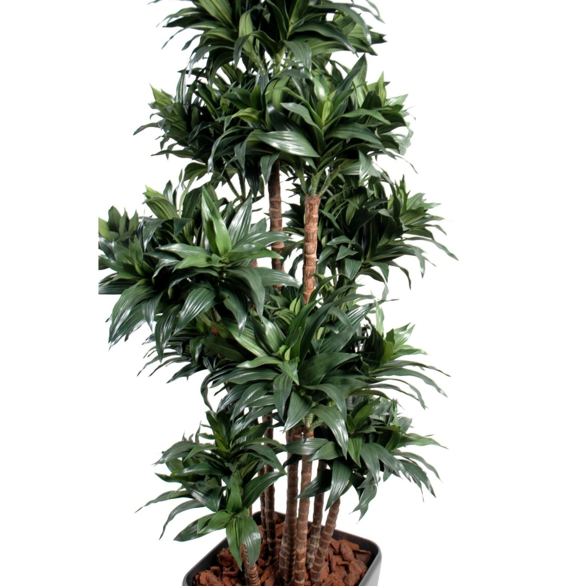 Dracaena artificiel en pot noir 160 cm – Image 2