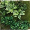 Mur artificiel 76 cm