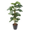 Philodendron coco artificiel – Image 2
