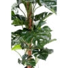 Philodendron coco artificiel – Image 3