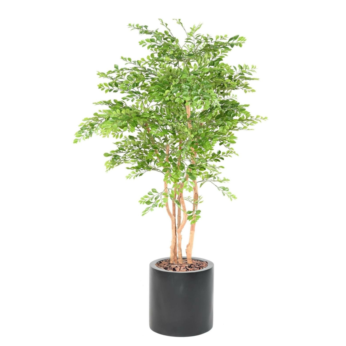 Acacia artificiel en pot noir 165 cm