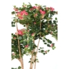 Bougainvillee avec racine artificiel 160 cm