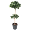 Laurier nobilis tige double artificiel 170 cm - résistant aux UV – Image 2