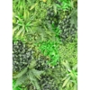 Mur végétal artificiel tropical – Image 2