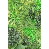 Mur végétal artificiel tropical – Image 5