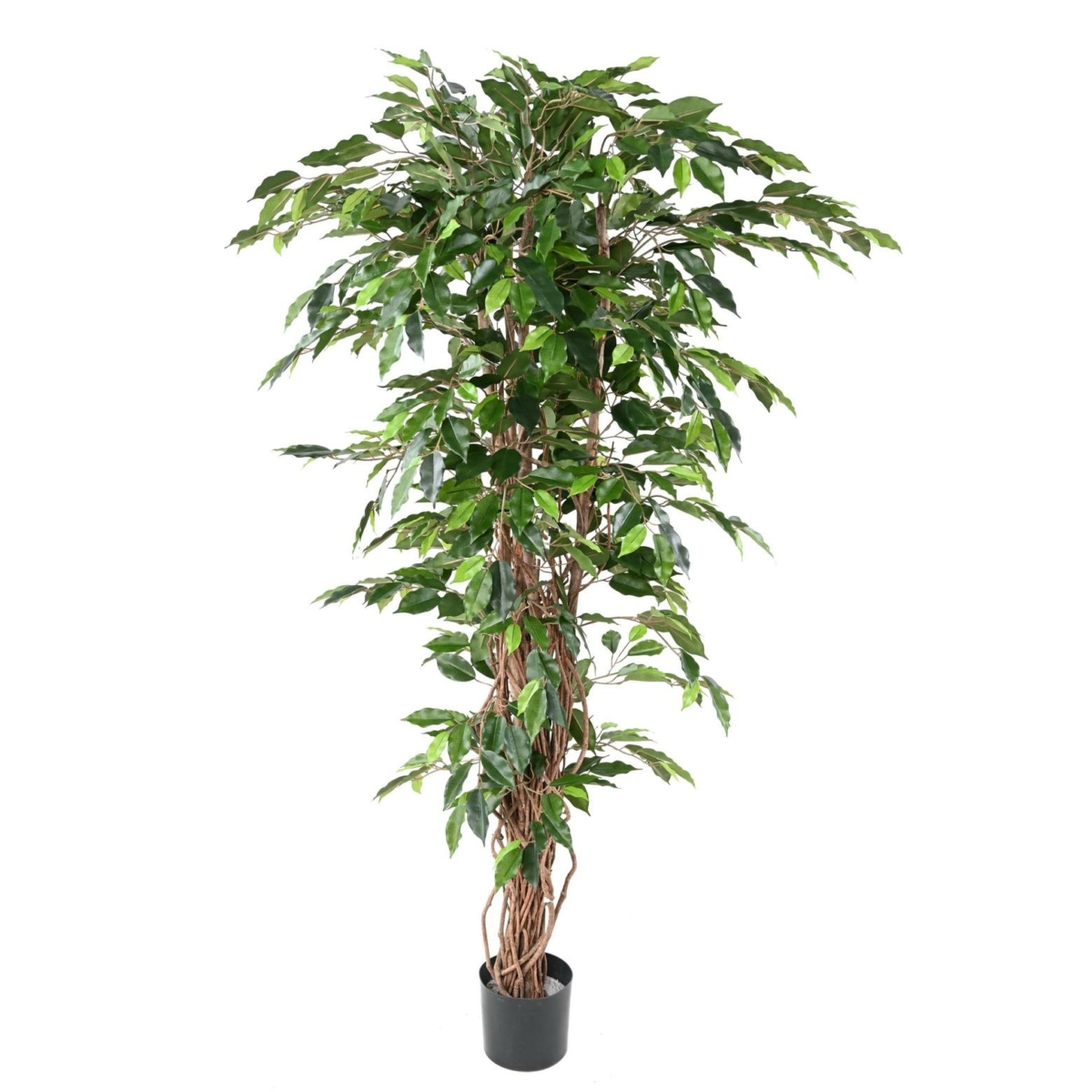 Ficus lianes artificiel vert