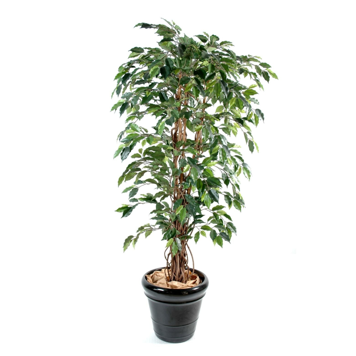 Ficus lianes artificiel vert – Image 2