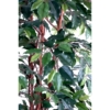 Ficus lianes artificiel vert – Image 3