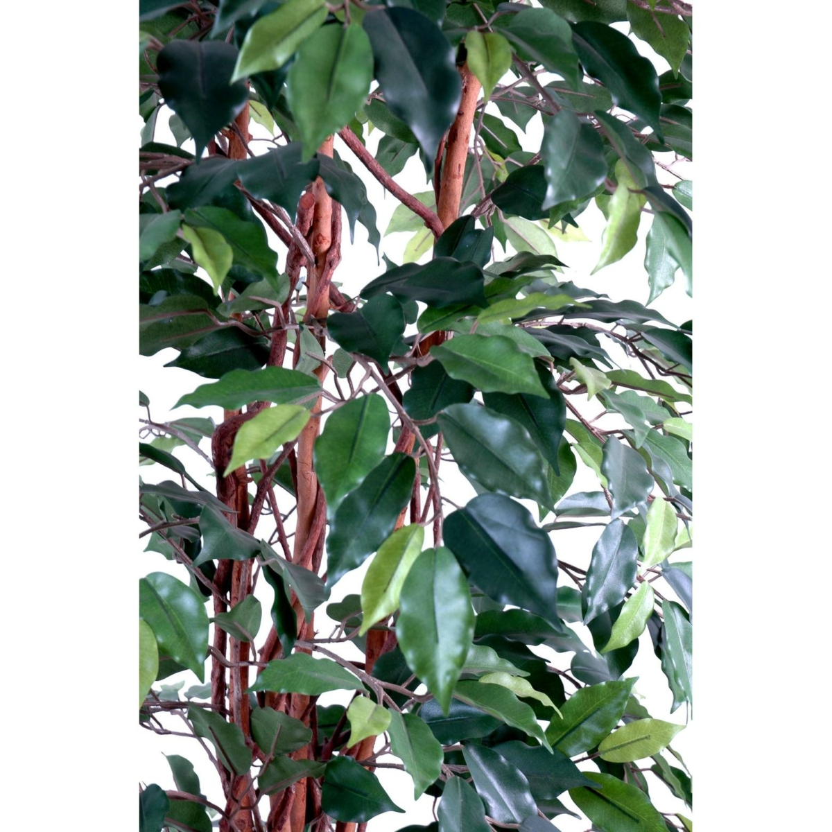 Ficus lianes artificiel vert – Image 3