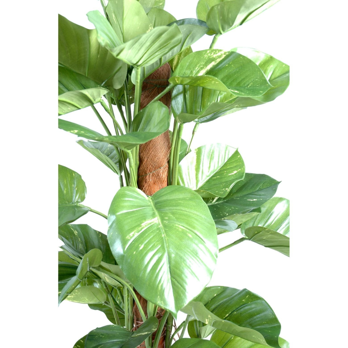 Pothos géant artificiel 150 cm – Image 4