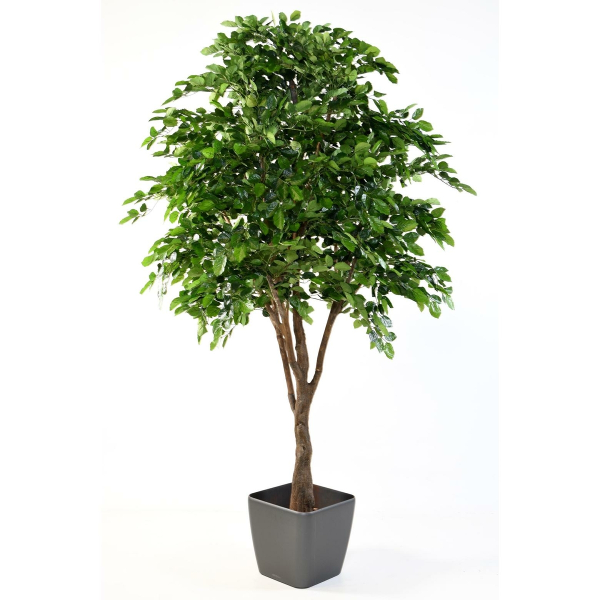 Hêtre artificiel 280 cm – Image 2