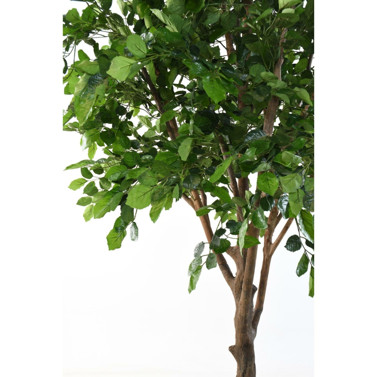 Hêtre artificiel 280 cm – Image 4