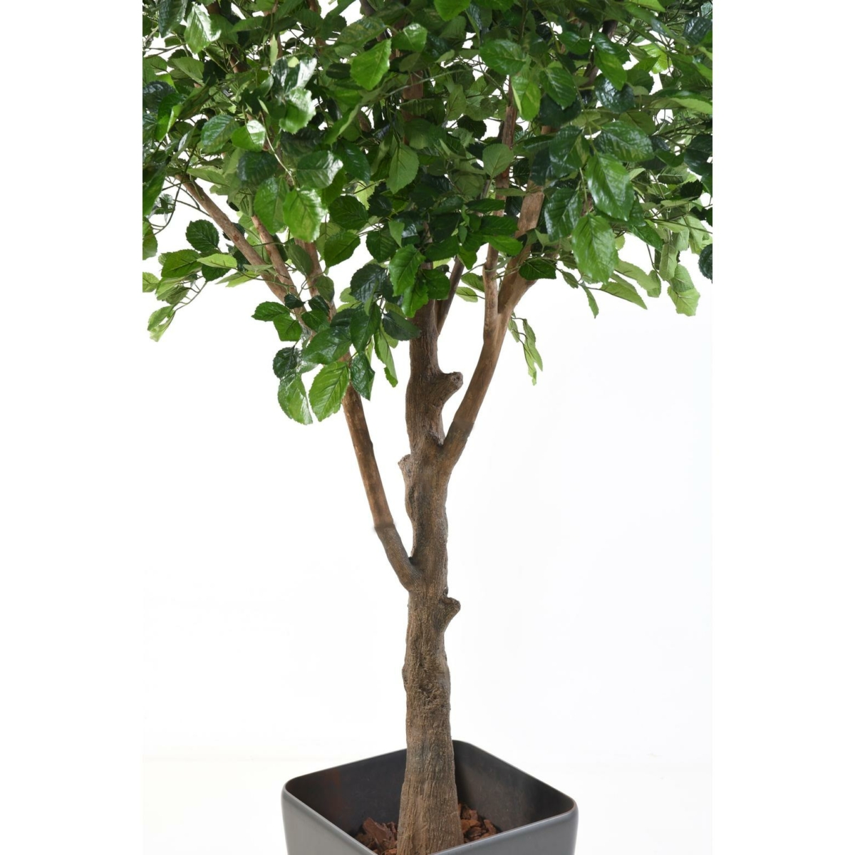 Hêtre artificiel 280 cm – Image 5