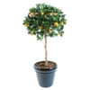 Oranger tête artificiel 125 cm