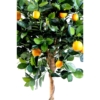 Oranger tête artificiel 125 cm – Image 2