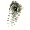 Chute de ceropegia artificielle