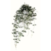 Chute de ceropegia artificielle – Image 2