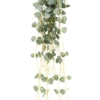 Chute de ceropegia artificielle – Image 3