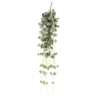 Chute de ceropegia artificielle – Image 4