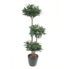 Dracaena fragrans artificiel