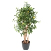 Citronnier artificiel