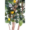 Citronnier artificiel – Image 3