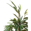 Ficus royal artificiel – Image 4