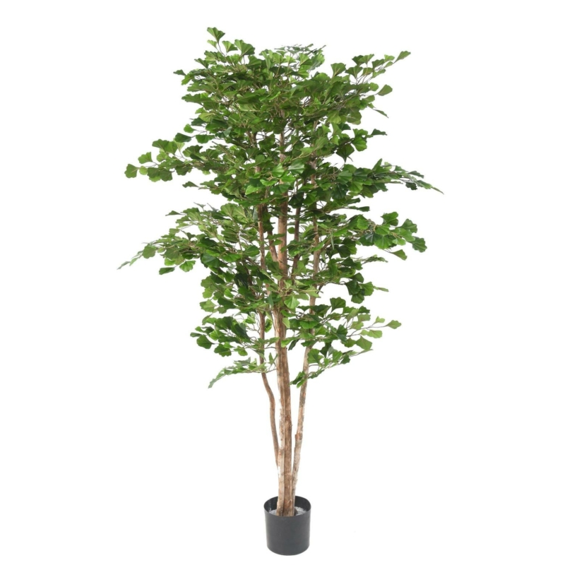 Ginkgo Biloba artificiel 180 cm