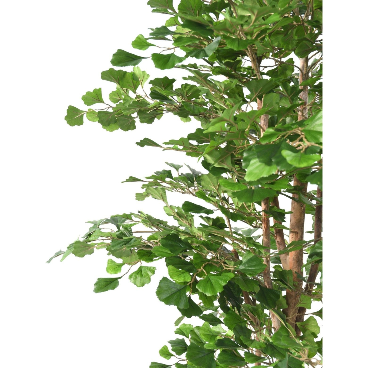 Ginkgo Biloba artificiel 180 cm – Image 2